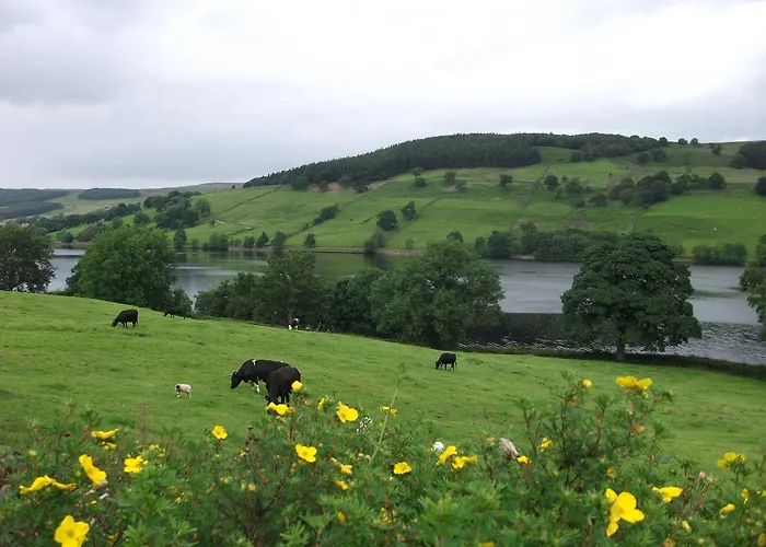 The Firs &tea Bed & Breakfast
