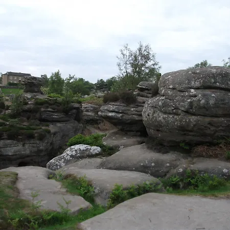 The Firs &tea * Summer Bridge