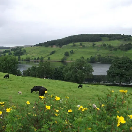 The Firs &tea Frühstückspension